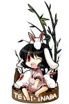  animal_ears animal_on_head bamboo barefoot black_hair bunny bunny_ears bunny_on_head carrot chibi dress highres inaba_tewi jewelry necklace ninja_toes open_mouth pendant pink_dress rabbit red_eyes short_hair sitting socha solo touhou transparent_background wink 