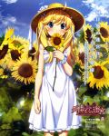  absurdres blond_hair blonde_hair blue_eyes blush covering covering_face covering_mouth dress flower french grisaia_no_kajitsu grisaia_no_meikyuu hair_ribbon hat highres long_hair matsushima_michiru ribbon scan solo solo_girl sun_hat sundress sunflower translation_request twintails watanabe_akio white_dress 