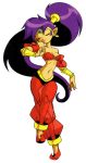  cleavage midriff official_art shantae transparent_png 