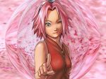  green_eyes haruno_sakura naruto pink_hair tagme 