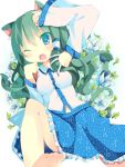  1girl animal_ears barefoot blue_eyes cat_ears cat_tail fang green_hair kochiya_sanae snake solo tail touhou wink 