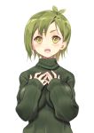  1girl :o blush breasts copyright_request fangs green_eyes green_hair hands_on_own_chest harunoibuki large_breasts open_mouth short_hair simple_background solo sweater white_background 