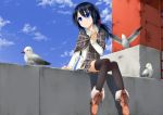  animal black_hair black_legwear blue_eyes blue_hair highres original roof sakura_yuuya scarf seagull sky solo_girl thigh-highs thighhighs 