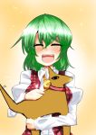  :d ^_^ anubis anubis-kun ascot blush breasts closed_eyes collar dog dress_shirt eyes_closed green_hair happy highres kazami_yuuka open_mouth plaid plaid_vest puffy_sleeves quality shirt short_hair smile solo tail tail_wagging takorice touhou vest youkai 