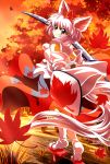 aji082 animal_ears autumn_leaves detached_sleeves forest hat highres inubashiri_momiji leaf maple_leaf nature red_eyes shield shirt short_hair silver_hair skirt smirk solo sword tail touhou turning weapon wolf_ears wolf_tail yellow_eyes 