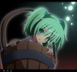  bucket character_name do_(4-rt) girl_in_bucket green_eyes green_hair hair_bobbles hair_ornament in_bucket in_container kisume letterboxed short_hair solo touhou translated twintails 