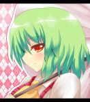  bad_id green_hair kazami_yuuka parasol red_eyes shinekalta short_hair solo touhou umbrella youkai 