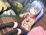  animal blue_hair cat food kageira thigh-highs 