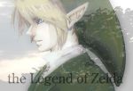  blonde_hair blue_eyes earrings link nintendo ocarina_of_time pointy_ears profile sad solo tagme the_legend_of_zelda 