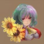  are_(gunnersbloom) brown_background bust flower green_hair kazami_yuuka light_smile lowres simple_background solo sunflower touhou youkai 