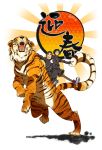  new_year sun tiger yupii 