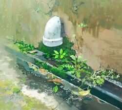  close-up commentary_request crack cracked_wall drainpipe highres leaf moss original outdoors plant plant_focus puddle sanegesan water 