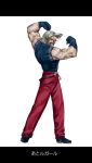  blonde_hair king_of_fighters male manly pine rugal_bernstein snk solo translated 