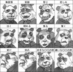  chart panda tagme 