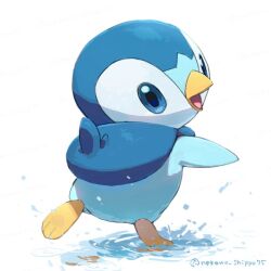  beak bird blue_eyes looking_back nako_(nekono_shippo75) no_humans open_mouth penguin piplup pokemon pokemon_(creature) pokemon_focus water white_background 