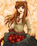  apple brown_hair dtcy food fruit holo pouch red_eyes solo spice_and_wolf tail wolf_ears wolf_tail 