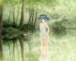  bare_shoulders blue_eyes blue_hair butterfly forest hair_bobbles hair_ornament highres kawashiro_nitori keiko220 legs nature nightgown reflection scenery solo touhou tree twintails wading water wet 