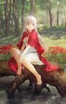  albino apple apple_core barefoot cape chibi_(shimon) dress elysion flower food forest fruit hand_on_knee holding hood_down lafrenze long_hair nature open_mouth red_eyes sash silver_hair sitting smile solo sound_horizon spider_lily tree water white_dress 