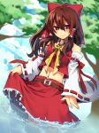 adapted_costume belt bow brown_hair detached_sleeves dutch_angle hair_bow hakurei_reimu haneten_kagatsu midriff miko multicolored_eyes navel red_eyes skirt skirt_hold smile solo touhou tree wading water wide_sleeves 