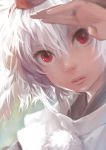  close-up closed_eyes eyes_closed face hands hat inubashiri_momiji lips matsuda_(matsukichi) messy_hair red_eyes shading_eyes short_hair silver_hair solo tokin_hat touhou white_hair 