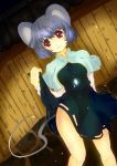  animal_ears bad_hands blue_hair breasts dress dress_lift dutch_angle error highres kotarou_(yukina1721) light_particles mouse_ears mouse_tail nazrin red_eyes short_hair smile solo tail touhou 