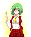  ascot breasts flower green_hair kazami_yuuka large_breasts plaid plaid_skirt plaid_vest red_eyes ribbon shirt short_hair skirt skirt_set smile solo surume_(clavis) touhou vest youkai 