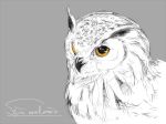  bird hrk173 monochrome no_humans owl simple_background 