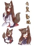  1girl animal_ears brown_eyes brown_hair chibi dress fingernails highres imaizumi_kagerou long_hair lovewolf5122 sharp_fingernails simple_background sketch solo tail touhou white_background wolf_ears wolf_tail |_| 