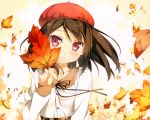  5_nenme_no_houkago blush hat kantoku leaves shizuku_(kantoku) thighhighs 