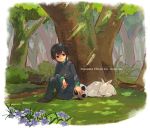  ball black_hair flower forest goat hair_ornament inazuma_eleven inazuma_eleven_(series) inazuma_eleven_go korokke nature short_hair shuu_(inazuma_eleven) sitting sleeping smile soccer_ball solo title_drop tree 