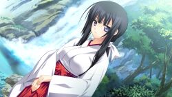  1girl black_eyes black_hair blunt_bangs bow breasts closed_mouth day dutch_angle forest furisode_sleeves game_asset grass hachimori_hinoto hair_bow hakama hakama_skirt japanese_clothes kimono large_breasts long_hair long_sidelocks looking_at_viewer low_ponytail miko nature night non-web_source orange_memories outdoors own_hands_together ponytail red_hakama self-datamine sidelocks skirt tree water waterfall white_bow white_kimono wide_sleeves zinno 
