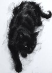  animal animal_focus cat commentary_request greyscale highres looking_to_the_side monochrome no_humans original ryosuke sideways_glance white_background 