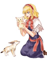  1girl alice_margatroid animal blonde_hair blue_dress blue_eyes brown_shoes capelet commentary_request dress fox frilled_hairband frills hairband highres holding holding_animal kneeling kuya_(hey36253625) medium_hair open_mouth puffy_short_sleeves puffy_sleeves red_hairband red_sash sash shoes short_sleeves simple_background smile solo touhou waist_sash white_background white_capelet 