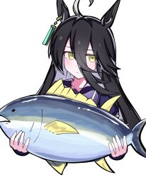  1girl ahoge animal animal_ears black_hair blush closed_mouth commentary_request cropped_torso ear_tag earrings fish hair_between_eyes highres holding holding_animal holding_fish horse_ears horse_girl jewelry kikkasoon long_bangs long_hair long_hair_between_eyes long_sleeves looking_at_viewer manhattan_cafe_(umamusume) manhattan_cafe_holding_a_fish_(meme) meme multicolored_hair purple_sailor_collar purple_shirt sailor_collar sailor_shirt school_uniform shirt simple_background single_earring solo tracen_school_uniform tuna umamusume white_background white_hair yellow_eyes 
