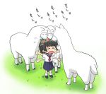  alpaca head_wreath kakushiaji school_uniform short_hair solo to_aru_kagaku_no_railgun to_aru_majutsu_no_index uiharu_kazari 