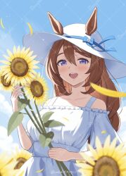  1girl animal_ears bare_shoulders blue_eyes blush bow braid braided_ponytail breasts brown_hair collarbone commentary_request dress ear_bow ears_through_headwear field flower flower_field hair_between_eyes hat holding holding_flower horse_ears horse_girl long_hair looking_at_viewer medium_breasts multicolored_hair oekakikamui open_mouth sample_watermark smile solo streaked_hair sun_hat sunflower sunflower_field super_creek_(umamusume) teeth umamusume upper_teeth_only very_long_hair watermark white_dress white_hair 
