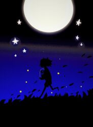  1other aislan child commentary deltarune flower flowery_(deltarune) full_moon glass grass highres holding holding_flower kris_(deltarune) long_sleeves moon nature night other_focus outdoors running scenery shaded_face short_hair shorts sky star_(sky) starry_sky sweater untranslatable_commentary utdr_(toby_fox) wind 