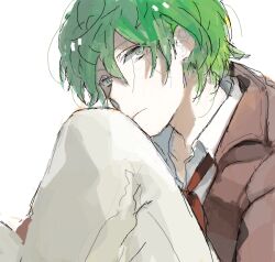  1boy bad_drawr_id bad_id brown_jacket closed_mouth collarbone collared_shirt copyright_request green_eyes green_hair hair_between_eyes jacket keita_(cocorocotoma) knee_up looking_at_viewer loose_hair_strand male_focus necktie pants red_necktie shirt short_hair solo white_background white_pants white_shirt 