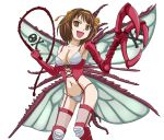  beelzebub_(monster_girl) breasts brown_eyes brown_hair claws cleavage corset cosplay elbow_gloves gloves hair_ribbon hairband insect knee_pads kurai_(cry) monster_girl moth_wings ribbon solo suzumiya_haruhi suzumiya_haruhi_no_yuuutsu swimsuit thigh-highs thighhighs whip wings 
