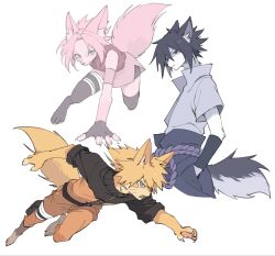  1girl 2boys animal_ear_fluff animal_ears animal_feet animal_hands animal_nose bandaged_leg bandages bare_shoulders barefoot black_eyes black_hair black_sleeves blonde_hair blue_eyes breasts claws closed_mouth commentary_request cowboy_shot facial_mark fighting fox_boy fox_ears fox_girl fox_tail full_body furrification furry furry_female furry_male green_eyes grey_shirt hair_between_eyes haruno_sakura highres jacket korean_commentary medium_breasts multiple_boys naruto_(series) naruto_shippuuden open_mouth orange_jacket orange_pants pants parted_bangs pink_hair pink_skirt red_shirt rope_belt sasukete_ninja sharp_teeth shirt short_hair skirt smile tail teeth uchiha_sasuke uzumaki_naruto whisker_markings white_background 