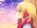  blonde_hair bust profile red_eyes rumia scarf shinekalta short_hair solo the_embodiment_of_scarlet_devil touhou winter youkai 