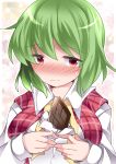  1girl between_breasts blush breast_squeeze breasts bust chocolate commentary_request embarrassed green_hair hammer_(sunset_beach) kazami_yuuka large_breasts long_sleeves red_eyes shirt solo touhou valentine vest wavy_mouth 