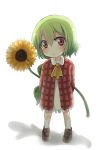  adapted_costume ascot coat dress flower green_hair kazami_yuuka looking_at_viewer oversized_object plaid red_eyes short_hair simple_background solo sunflower touhou white_background white_dress youkai young 