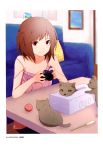  absurdres artist_request ball bare_shoulders blurry brown_eyes brown_hair camera camisole cat cat_teaser catnip couch depth_of_field highres kitten nishiuri_warito one_side_up original scan sitting smile solo strap_slip tissue_box 