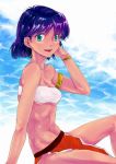  bare_shoulders bob_cut bracelet dark_skin earrings fushigi_no_umi_no_nadia green_eyes hoop_earrings jewelry loincloth nadia open_mouth purple_hair short_hair sitting smile solo tubetop 