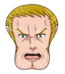  1boy chin emphasis_lines face gundam gundam_age iwark_briar male meme mousepad parody simple_background solo tk8d32 we're_forced! white_background 