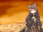  animal_ears blurry brown_hair cloak depth_of_field highres holo horo long_hair red_eyes smile solo spice_and_wolf wakuwakusan wolf_ears 