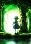 ascot blue_eyes daiyousei forest green_hair hair_ribbon highres nature ribbon shirt side_ponytail skirt skirt_set solo touhou vest water wings yorugao 