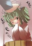  bucket commentary commentary_request gaoo_(frpjx283) green_eyes green_hair hair_bobbles hair_ornament highres in_bucket in_container kisume open_mouth petting short_hair smile solo touhou twintails wink 