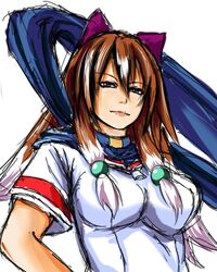  animal_ears arcana_heart arcana_heart_2 breasts brown_hair bust cat_ears hair_beads highres inuwaka_akane large_breasts lips long_hair mayu multicolored_hair payot purple_eyes scarf solo t-shirt two-tone_hair violet_eyes white_hair 